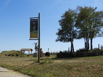 Zone plaine africaine - 2018