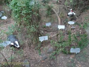 Parcours de visite