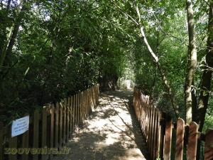 Parcours de visite