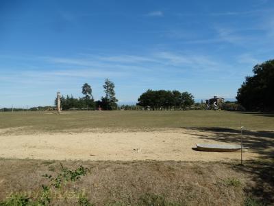 Chameau - Cheval de Przewalski - 2018