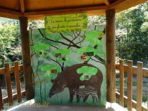 Tapir