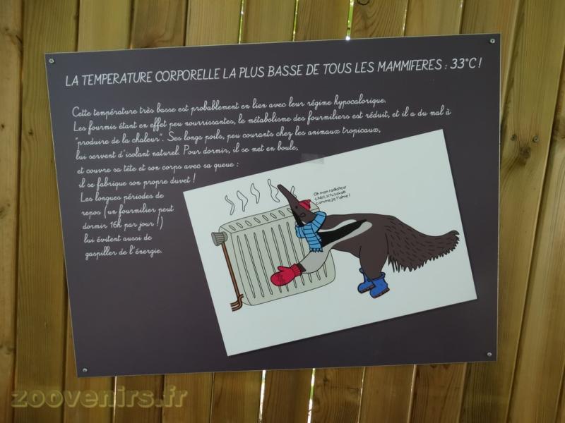 Parcours pédagogique
