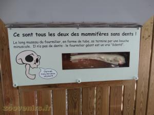 Parcours pédagogique