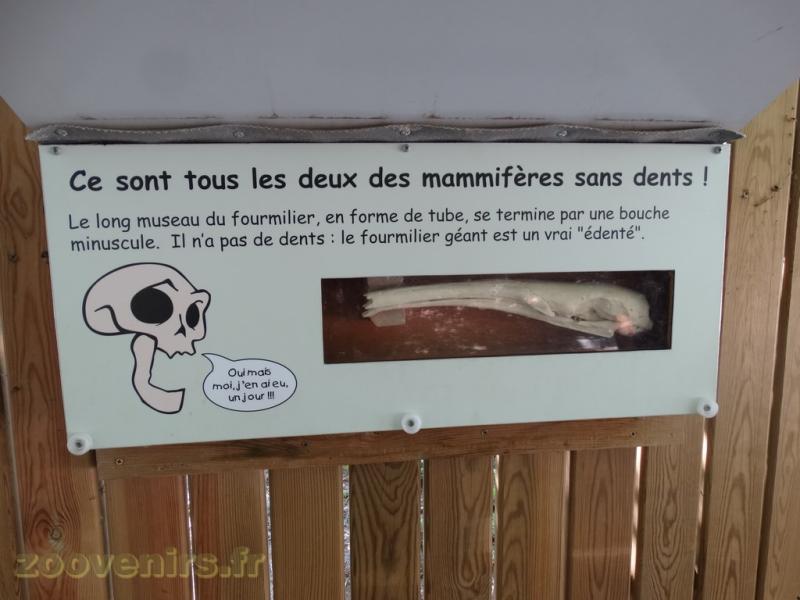 Parcours pédagogique