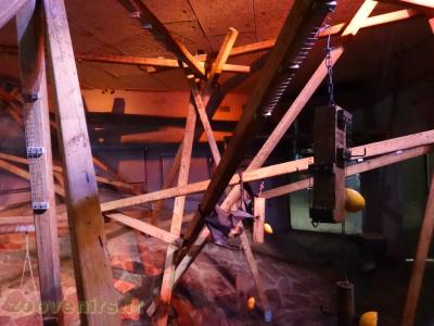 Chauve-souris - 2018