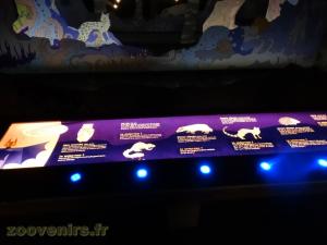 Installations pédagogiques