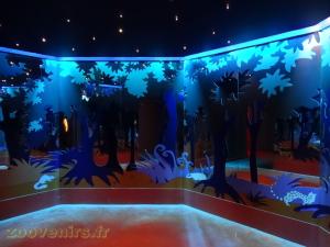 Installations pédagogiques