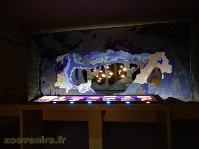 Installations pédagogiques