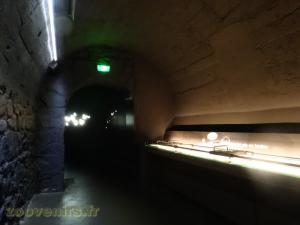 Parcours de visite