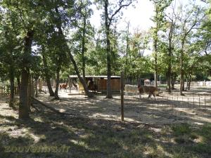 La ferme de Léonie