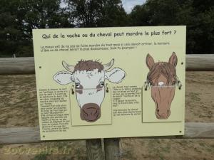 La ferme de Léonie