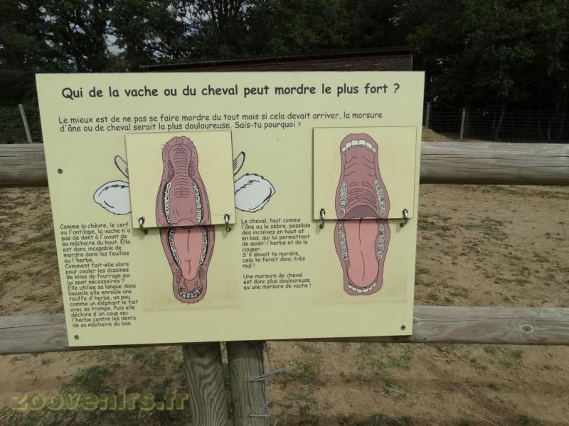 La ferme de Léonie