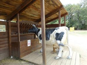 La ferme de Léonie