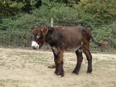 La ferme de Léonie - 2018