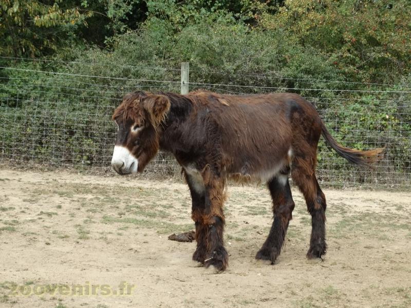 La ferme de Léonie