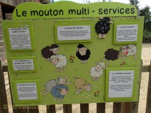 La ferme de Léonie