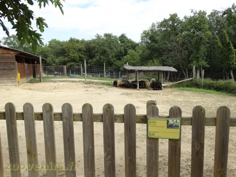 La ferme de Léonie