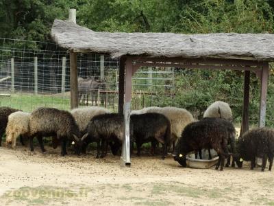 La ferme de Léonie - 2018