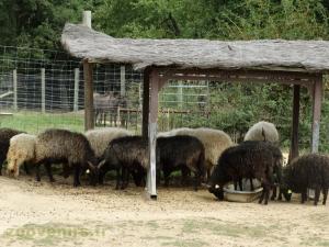 La ferme de Léonie