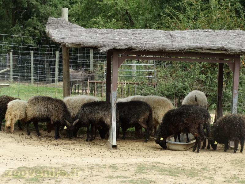 La ferme de Léonie