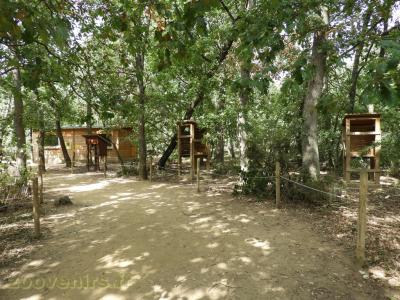 Lémur catta - Maki vari roux - 2018