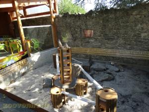 Suricate