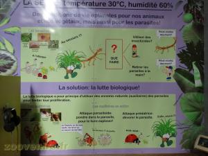 Parcours de visite