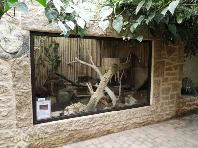 Python à queue courte - 2018