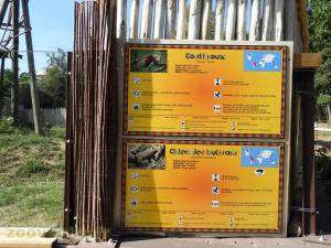 Coati roux - Chien des buissons