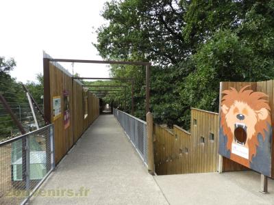 passerelle des carnivores - 2018