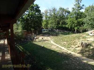 Hyène tachetée - 2018