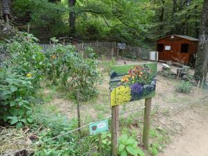 Jardin de Lola