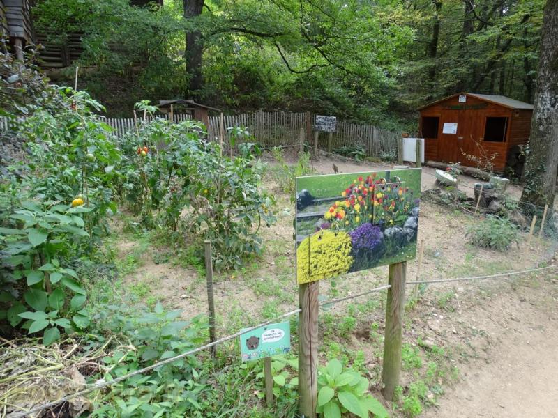 Jardin de Lola