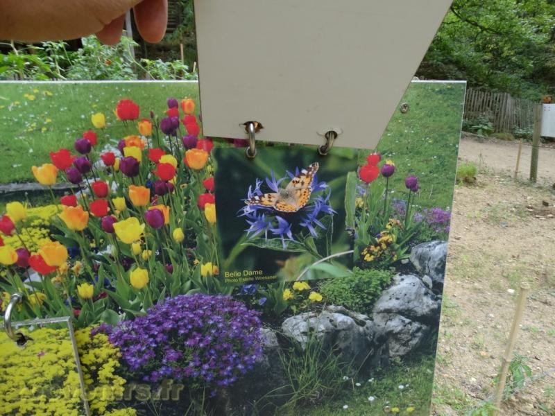 Jardin de Lola