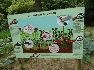Jardin de Lola