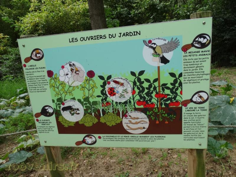 Jardin de Lola