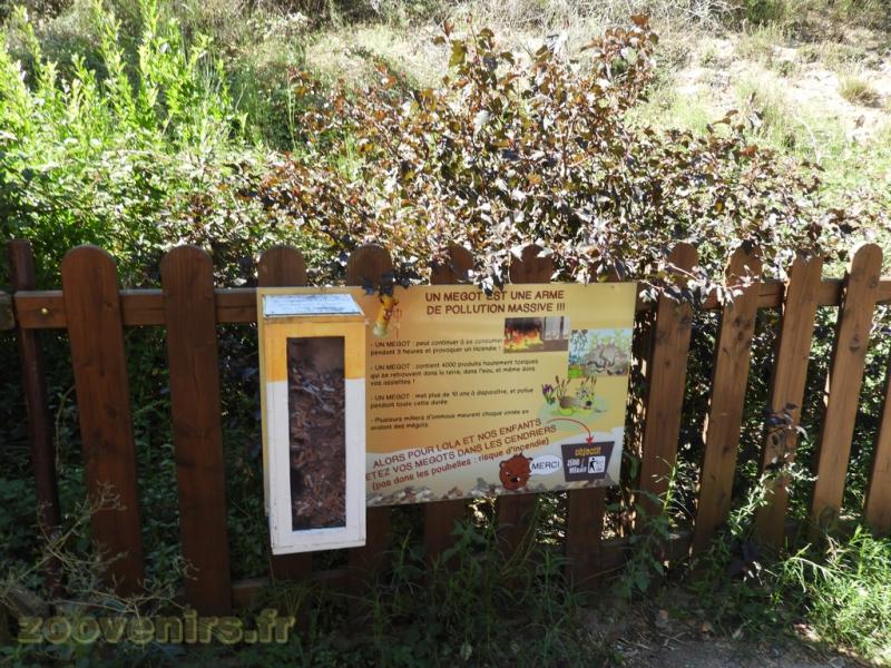 Information