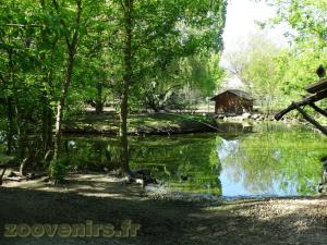 Plan d'eau des canards