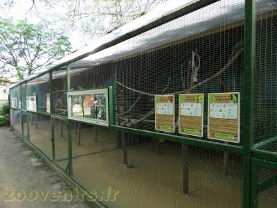 Volières des becs crochus - 2018