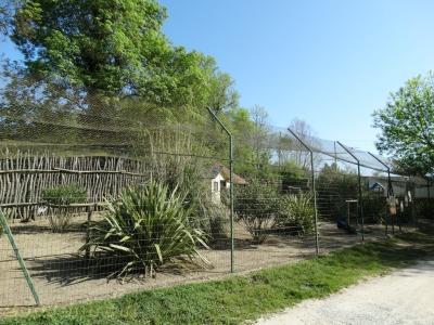 Grue demoiselle - Paon - Faisan argenté - 2018