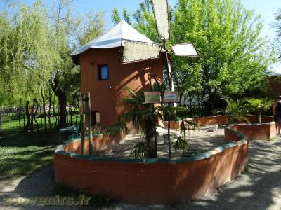 Tortue striée - Tortue léopard - 2018