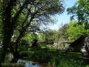 Jura'sik Park