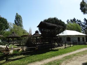 Départ des promenades à dos de dromadaires