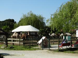 Circuit de visite