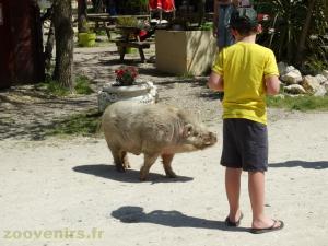 Circuit de visite