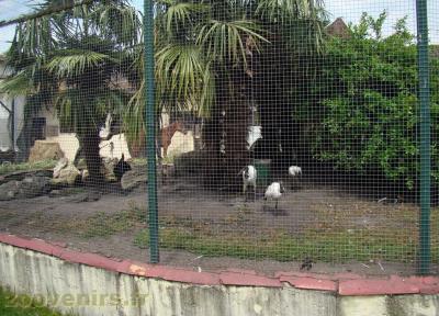 Volière exotique - 2018