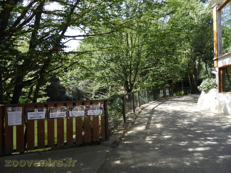 Bassin des anatidés