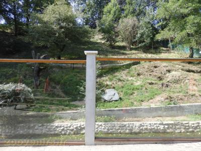 Loup du Canada - 2017