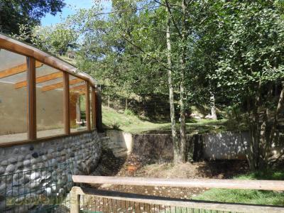 Flamant du Chili - 2017