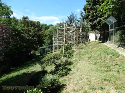 Macaque de Tonkéan - 2017